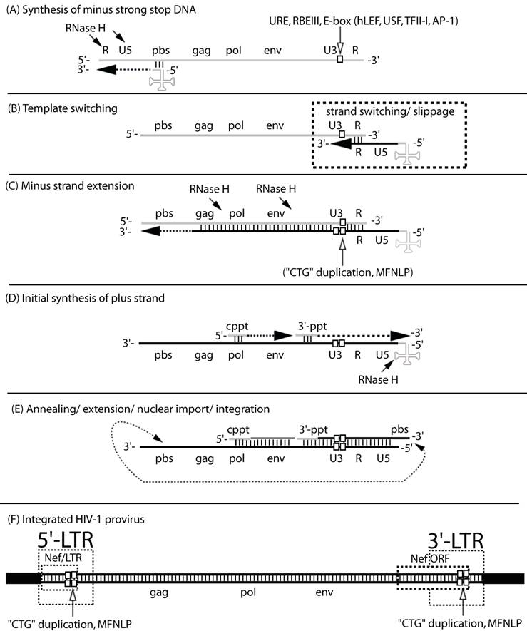 Functions Of Mis And Iss