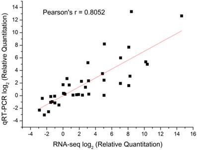 expression data analysis