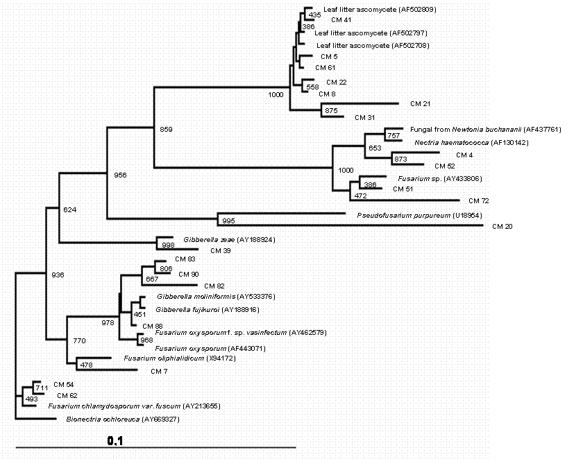 Int J Biol Sci Image