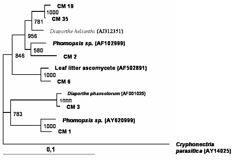 Int J Biol Sci Image