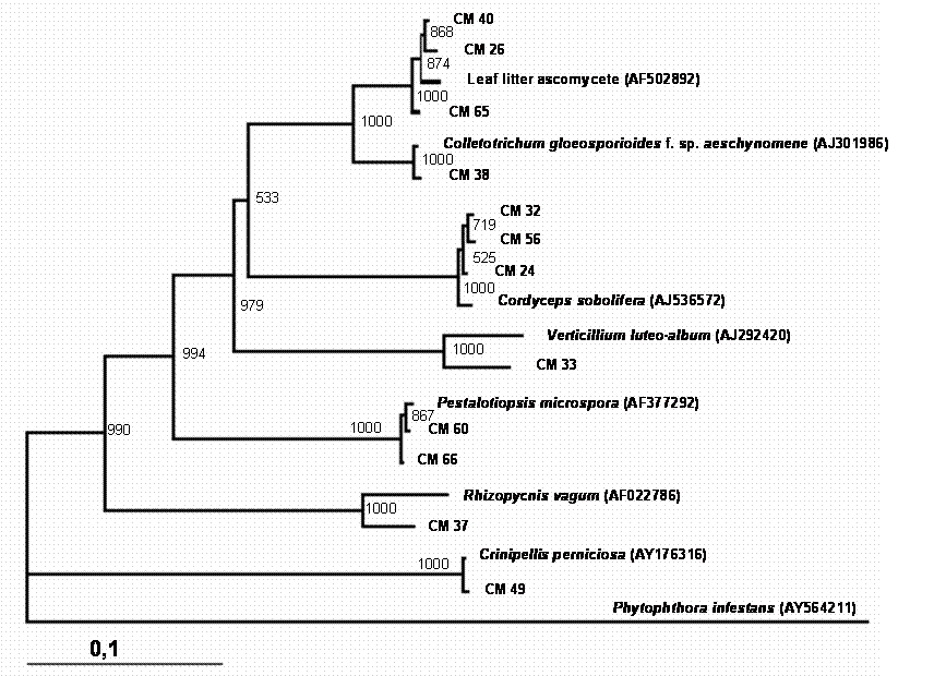 Int J Biol Sci Image