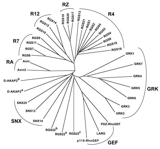 Int J Biol Sci Image