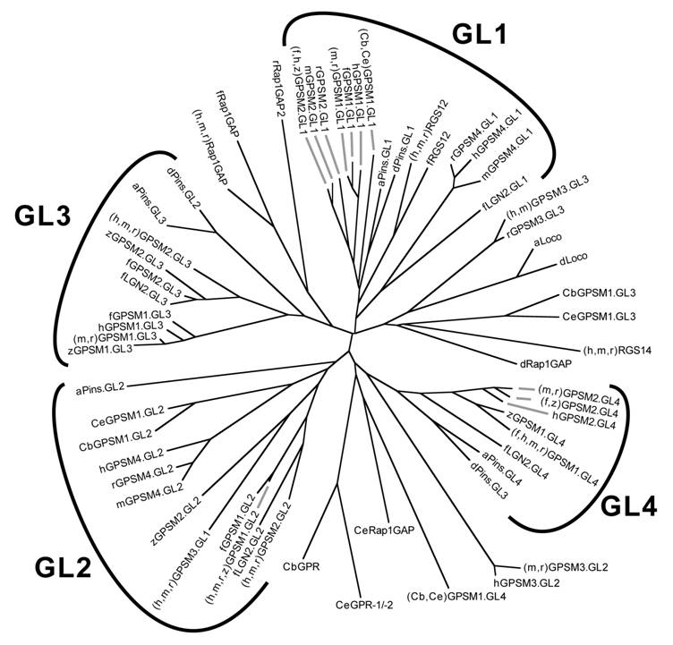 Int J Biol Sci Image