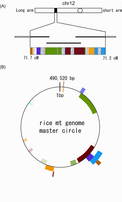 Int J Biol Sci Image