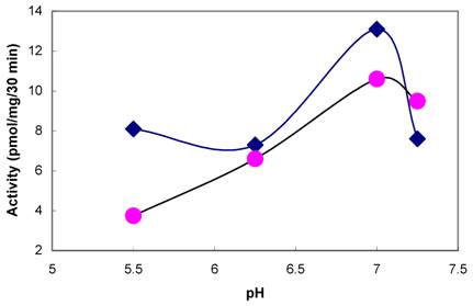 Int J Biol Sci Image