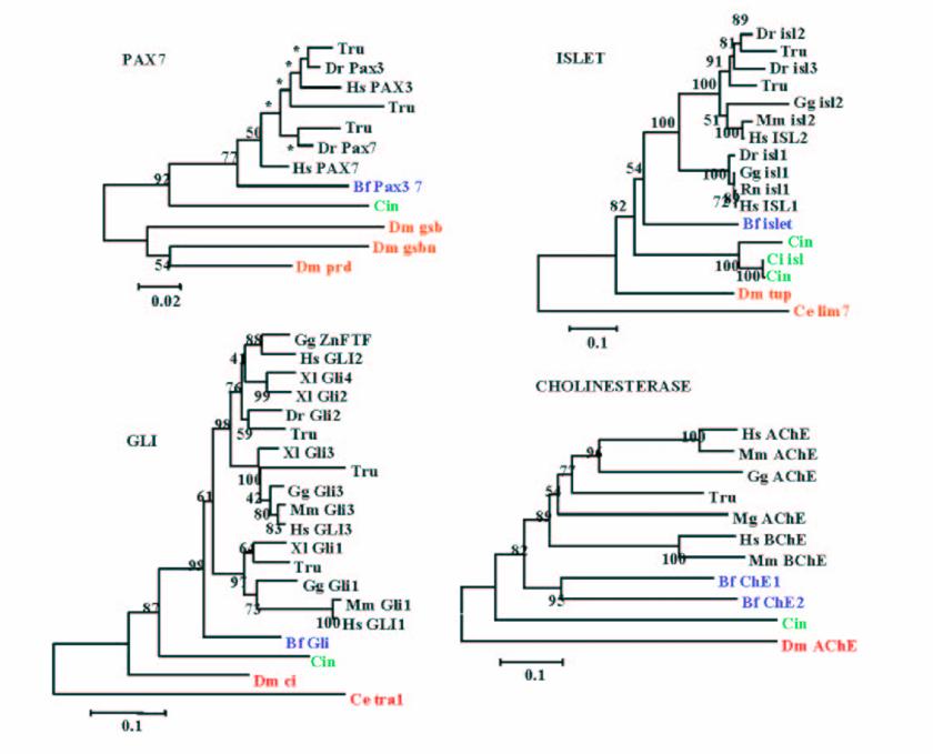 Int J Biol Sci Image