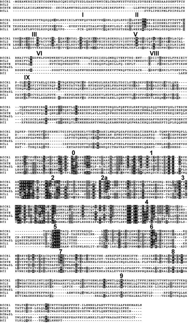 Int J Biol Sci Image