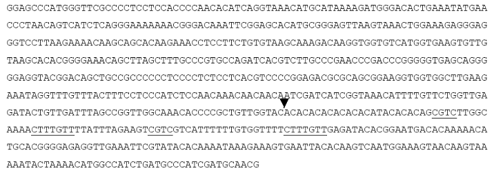 Int J Biol Sci Image