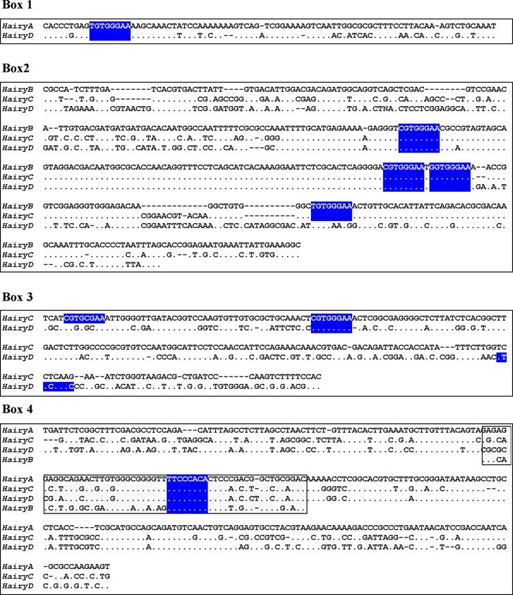 Int J Biol Sci Image