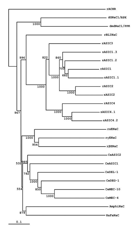 Int J Biol Sci Image