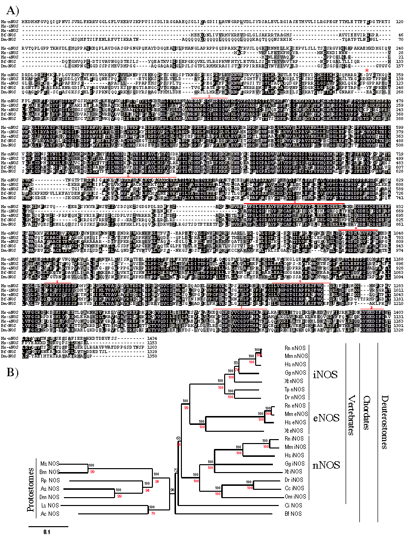 Int J Biol Sci Image