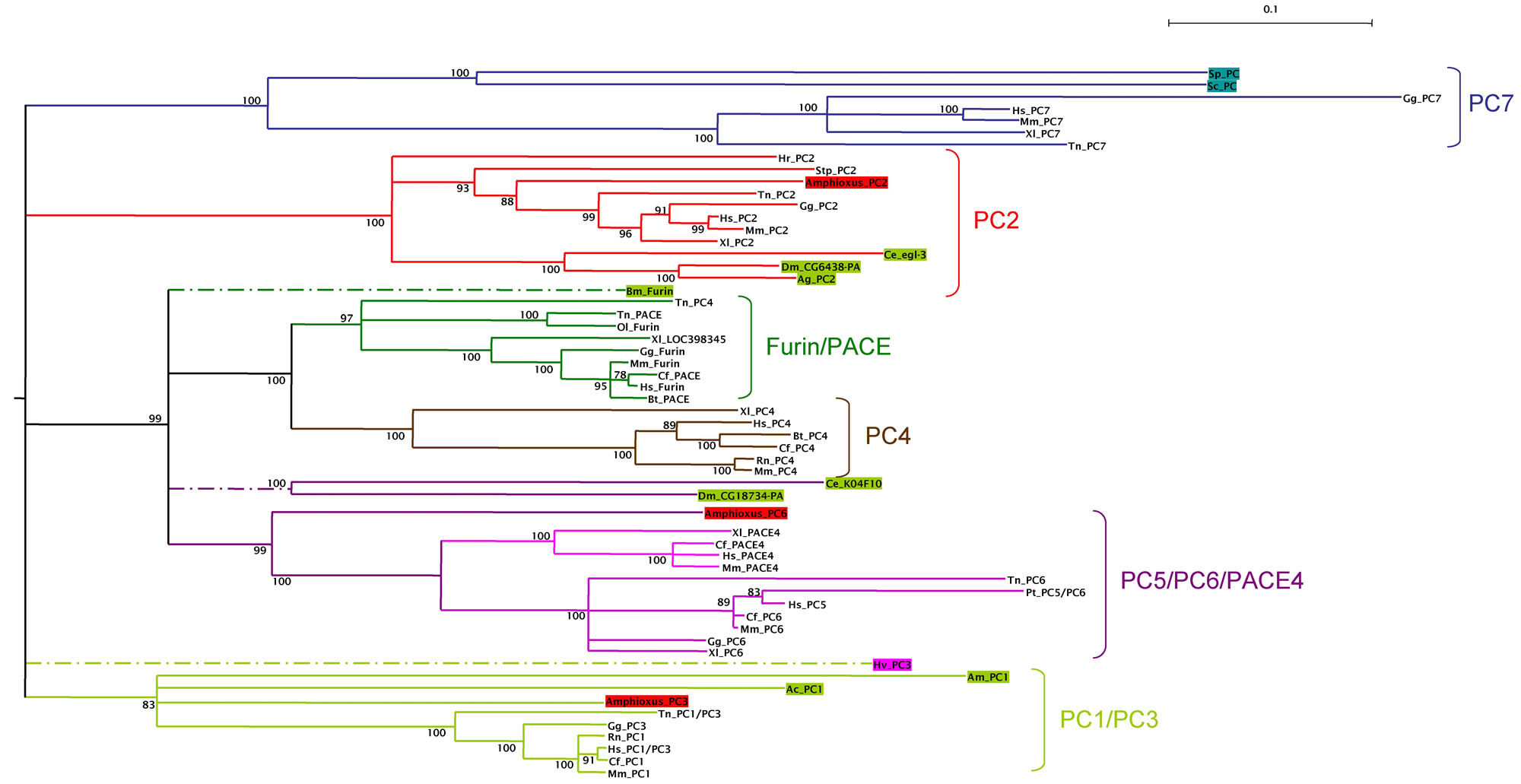 Int J Biol Sci Image