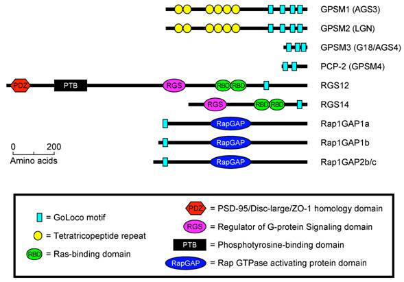 Int J Biol Sci Image