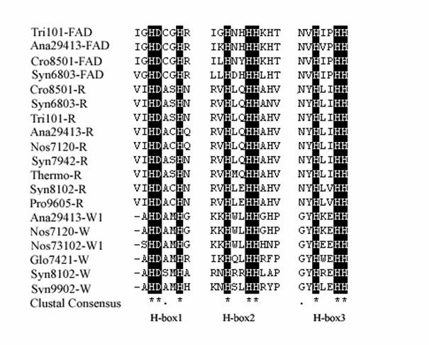 Int J Biol Sci Image