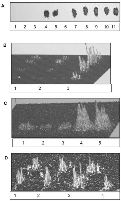 Int J Biol Sci Image