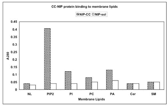 Int J Biol Sci Image