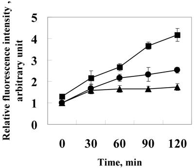 Int J Biol Sci Image