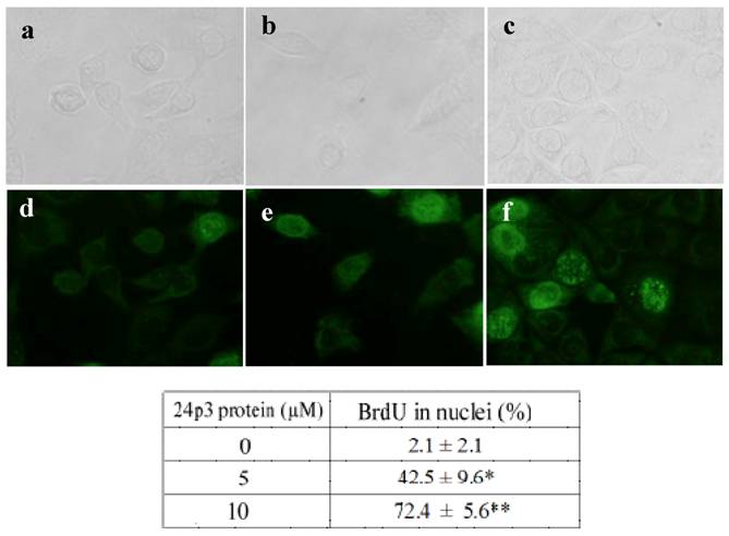 Int J Biol Sci Image