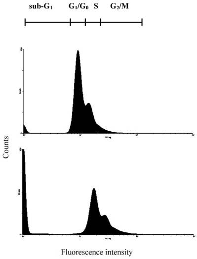 Int J Biol Sci Image