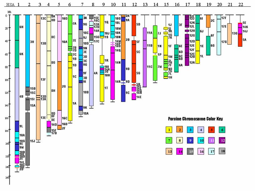 Int J Biol Sci Image