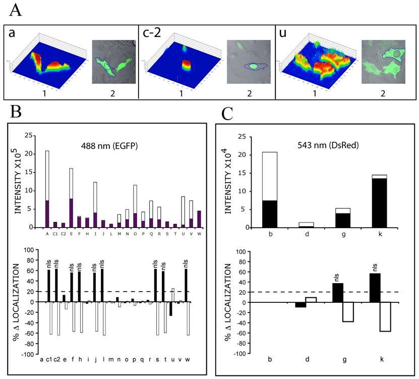 Int J Biol Sci Image