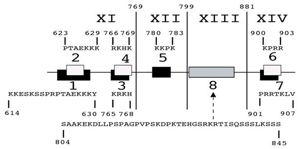 Int J Biol Sci Image