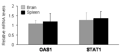 Int J Biol Sci Image