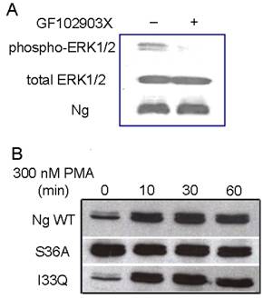 Int J Biol Sci Image