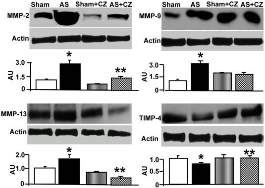 Int J Biol Sci Image