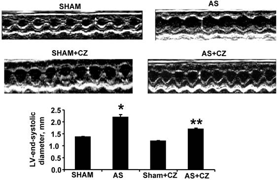 Int J Biol Sci Image