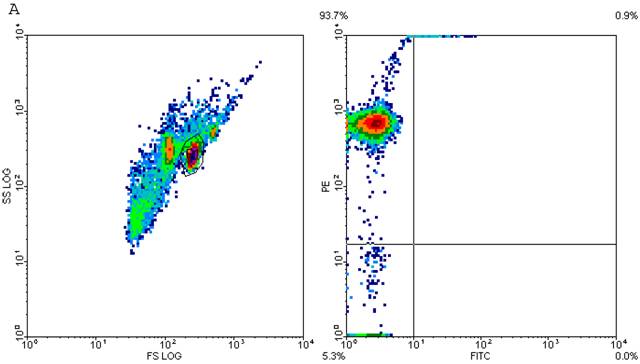 Int J Biol Sci Image