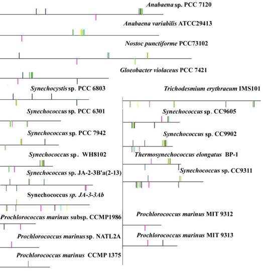 Int J Biol Sci Image