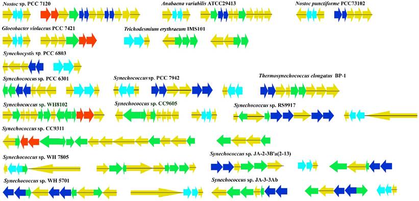 Int J Biol Sci Image