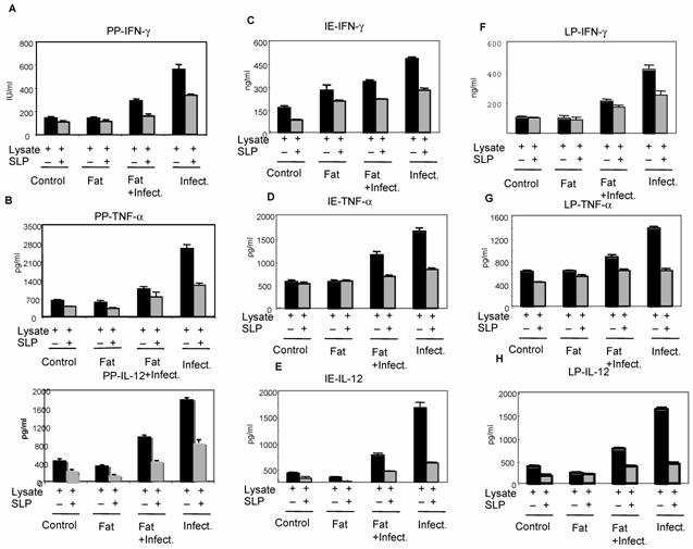 Int J Biol Sci Image