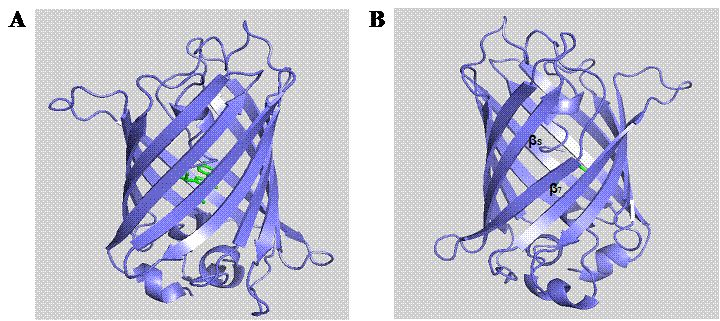 Int J Biol Sci Image