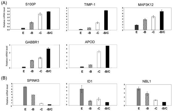 Int J Biol Sci Image