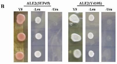 Int J Biol Sci Image