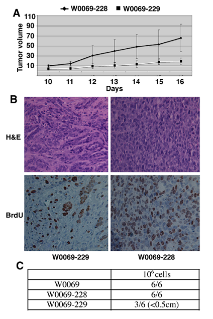 Int J Biol Sci Image