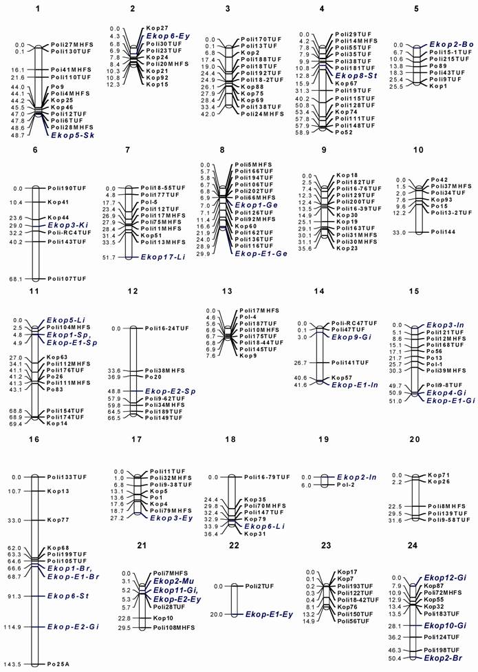Int J Biol Sci Image