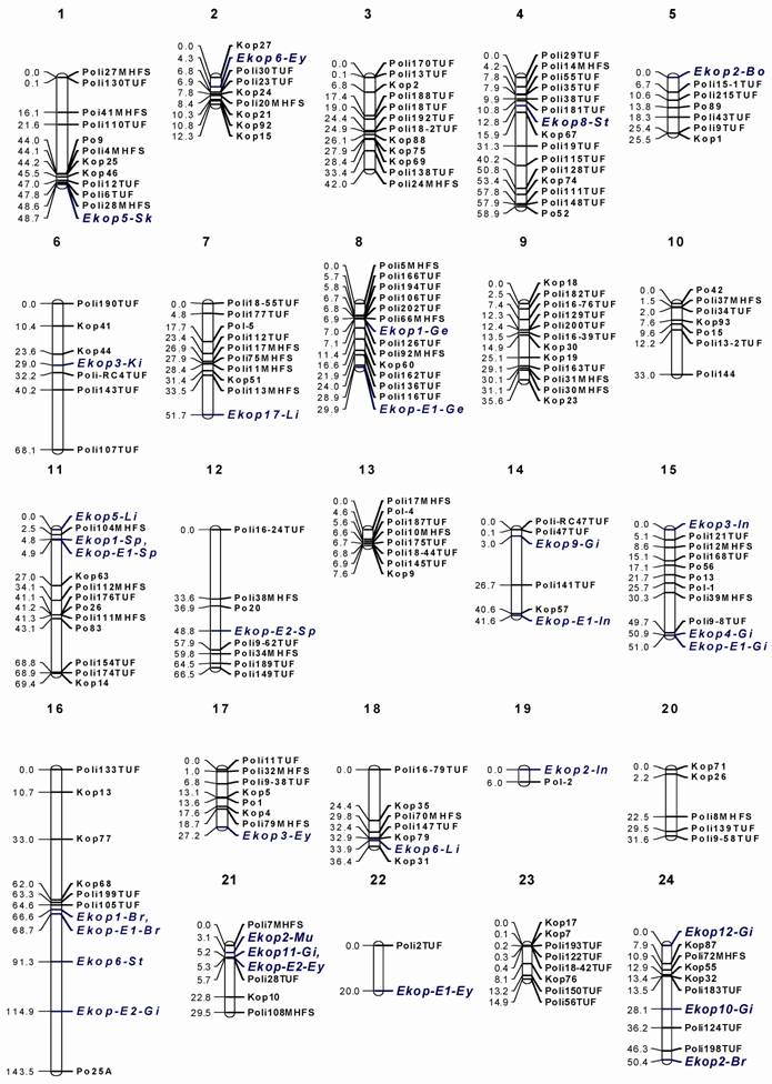 Int J Biol Sci Image