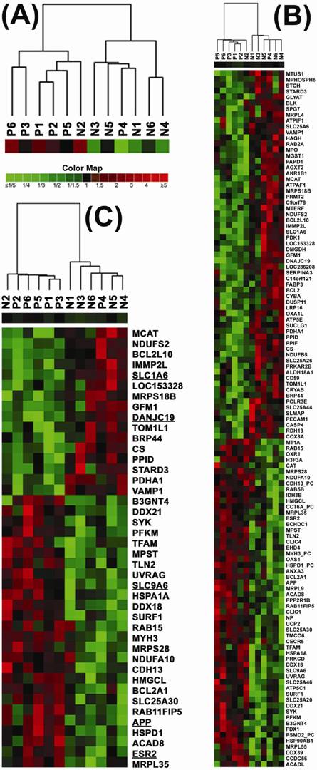 Int J Biol Sci Image