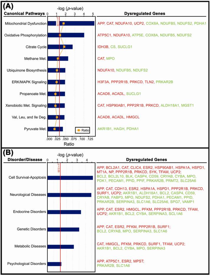 Int J Biol Sci Image