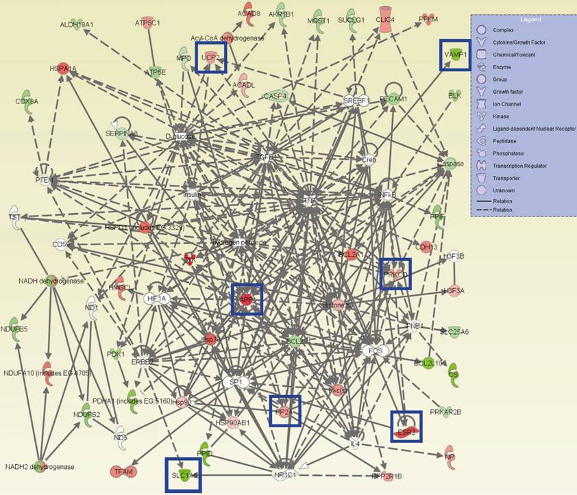 Int J Biol Sci Image