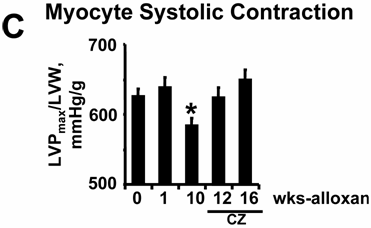 Int J Biol Sci Image