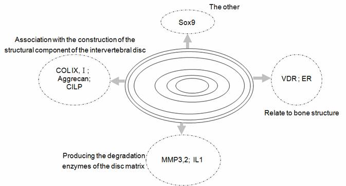 Int J Biol Sci Image