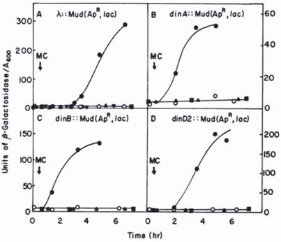 Int J Biol Sci Image