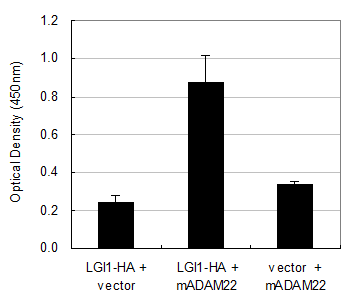 Int J Biol Sci Image