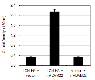 Int J Biol Sci Image