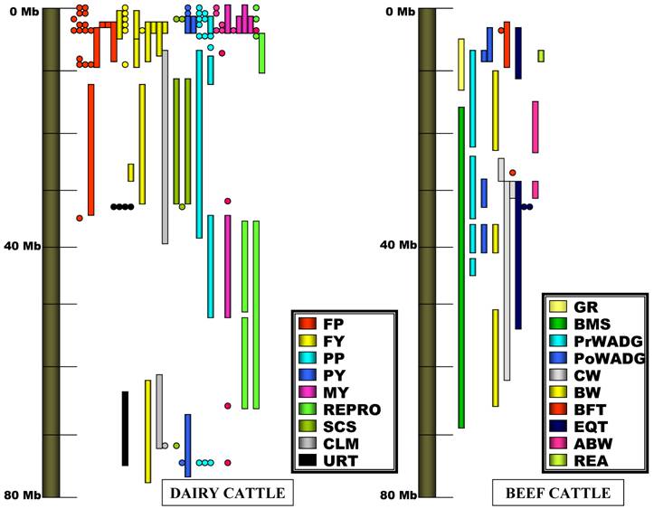 Int J Biol Sci Image