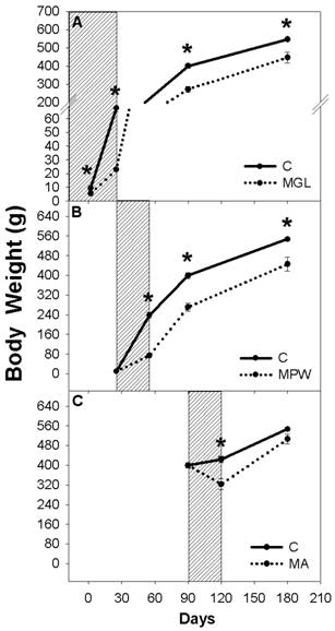 Int J Biol Sci Image